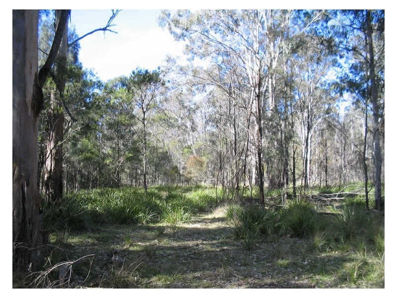 Lot 8 & 32 Princes Highway, Moruya NSW 2537