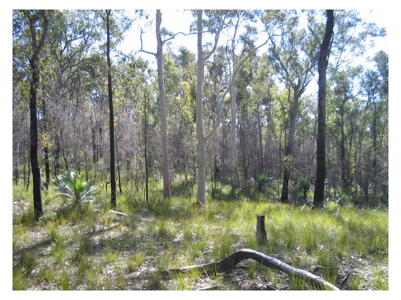 Lot 8 & 32 Princes Highway, Moruya NSW 2537