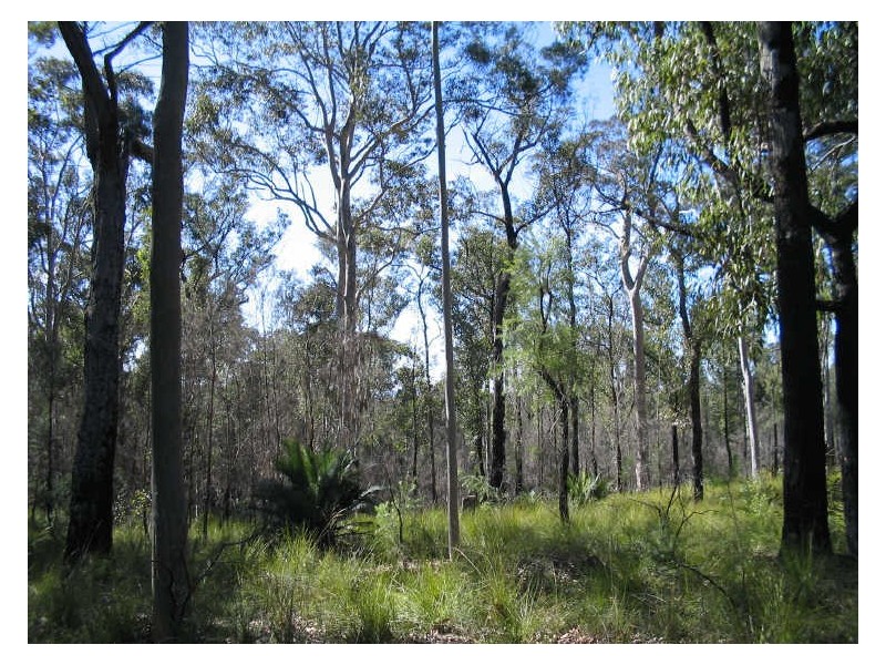 Lot 8 & 32 Princes Highway, Moruya NSW 2537