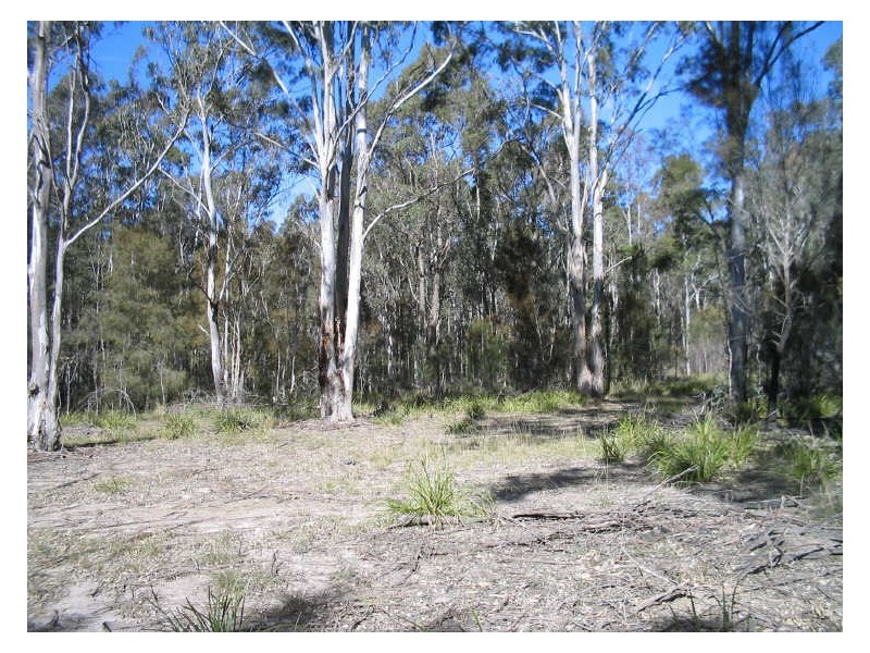Lot 8 & 32 Princes Highway, Moruya NSW 2537