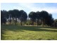 186 Princes Highway, Bodalla NSW 2545