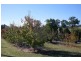 19 Yarimup Place, Moruya NSW 2537