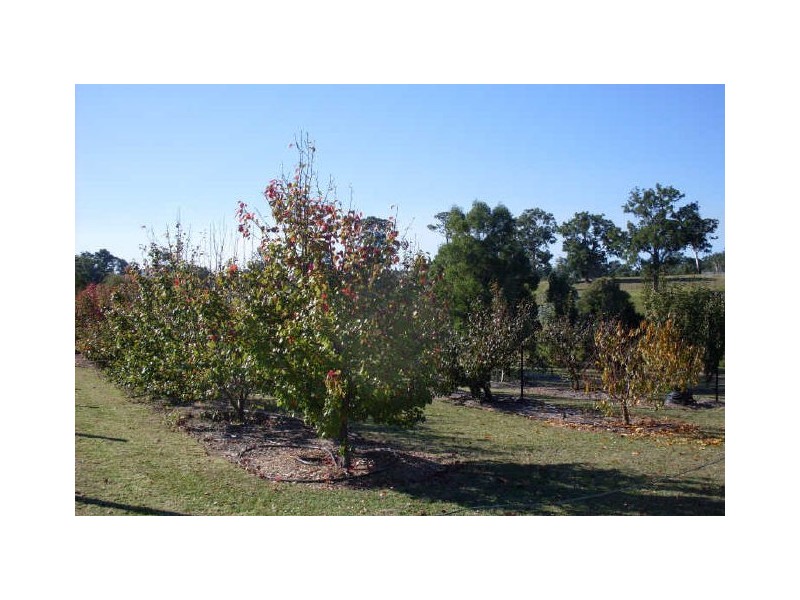 19 Yarimup Place, Moruya NSW 2537