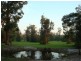 435 Congo Road, Congo NSW 2537