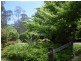 2813 Eurobodalla Road, Bodalla NSW 2545