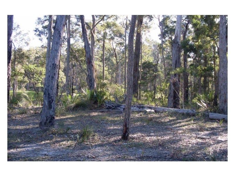 Lt 30 & 31 Collette Place, Congo NSW 2537