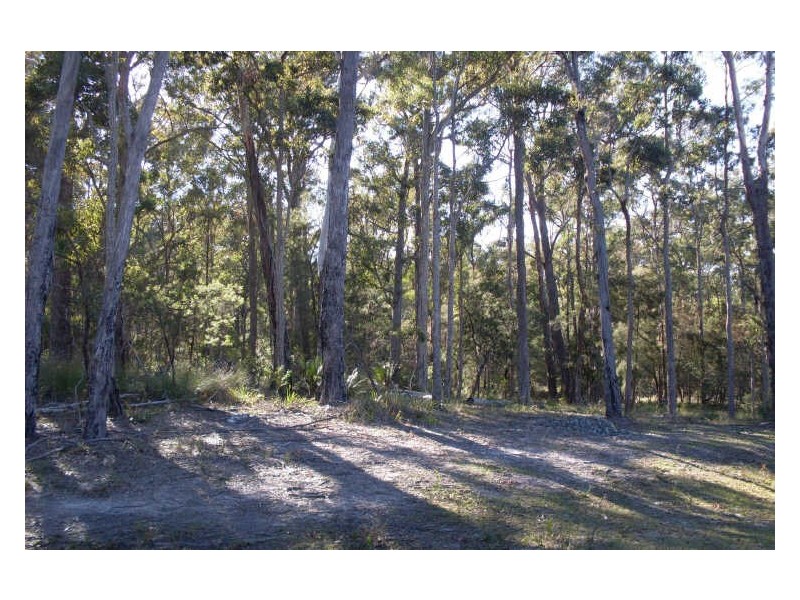 Lt 30 & 31 Collette Place, Congo NSW 2537