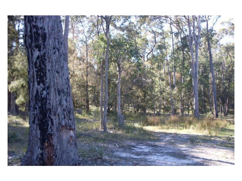 Lt 30 & 31 Collette Place, Congo NSW 2537