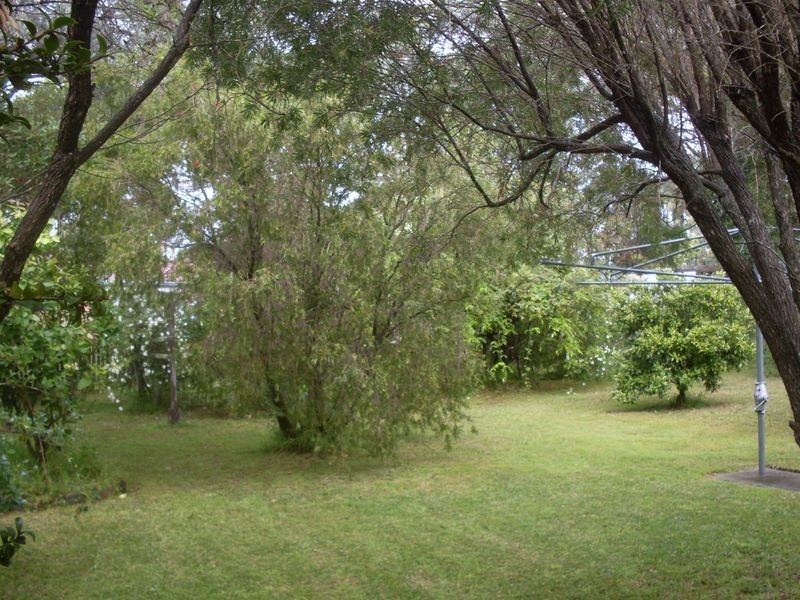 21 Bergalia Street, Moruya NSW 2537