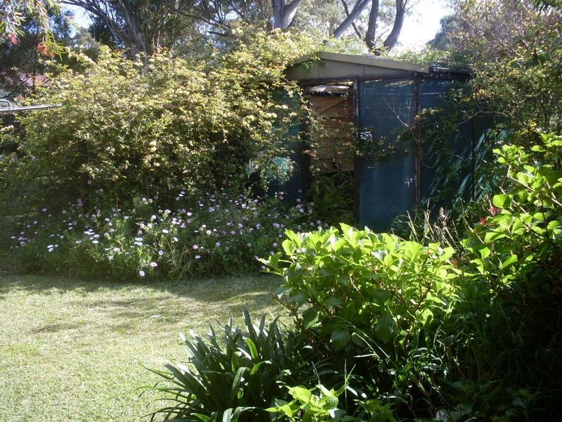21 Bergalia Street, Moruya NSW 2537