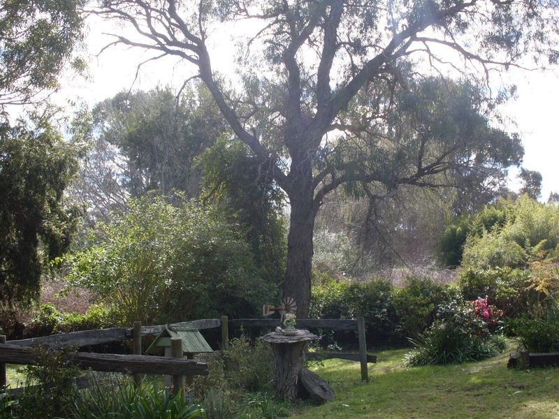 16 Moruya Street, Moruya NSW 2537