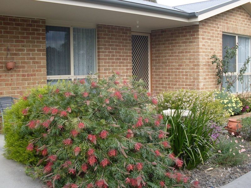 99A Albert Street, Moruya NSW 2537