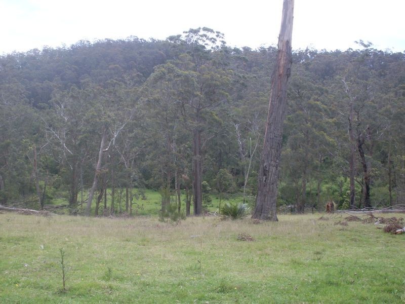 244 Hawdons Road, Moruya NSW 2537