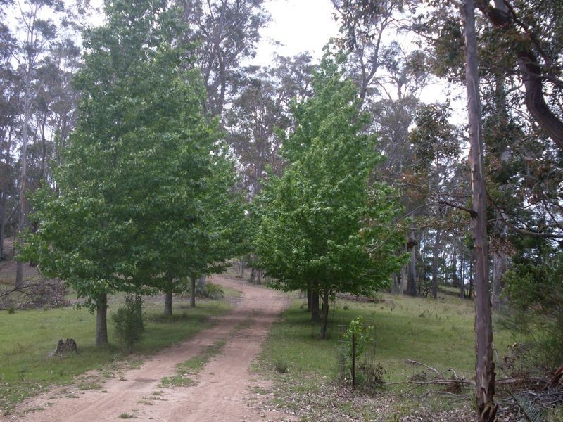 244 Hawdons Road, Moruya NSW 2537