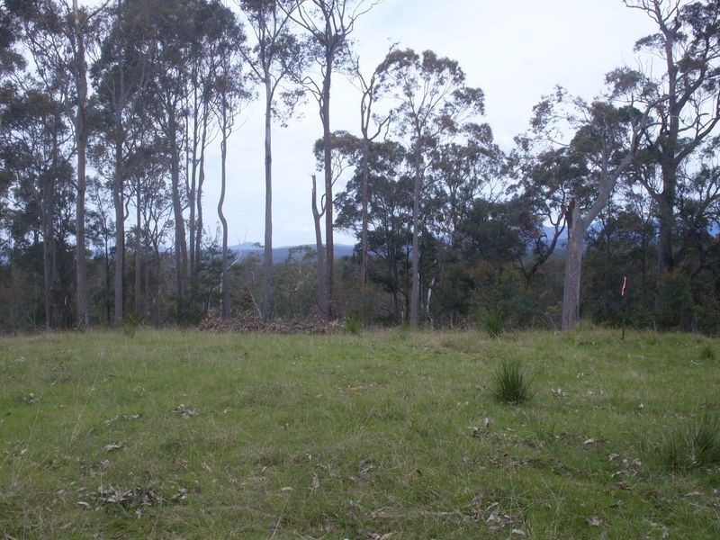 244 Hawdons Road, Moruya NSW 2537