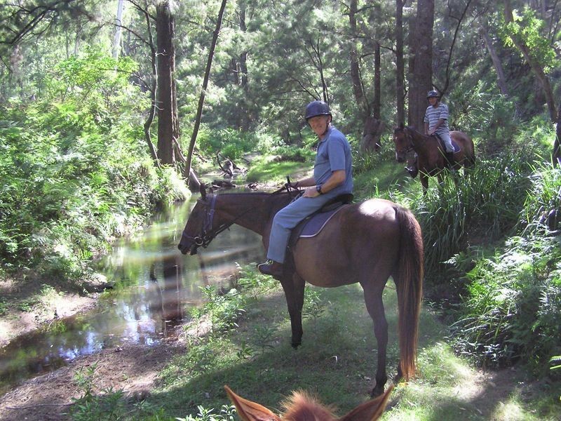 244 Hawdons Road, Moruya NSW 2537