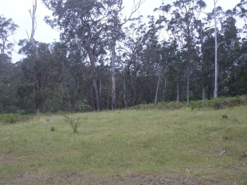 244 Hawdons Road, Moruya NSW 2537