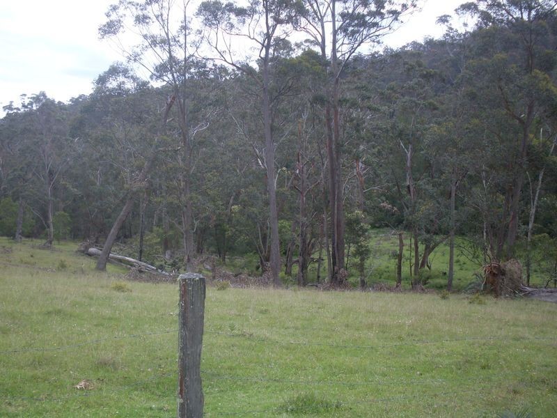 244 Hawdons Road, Moruya NSW 2537