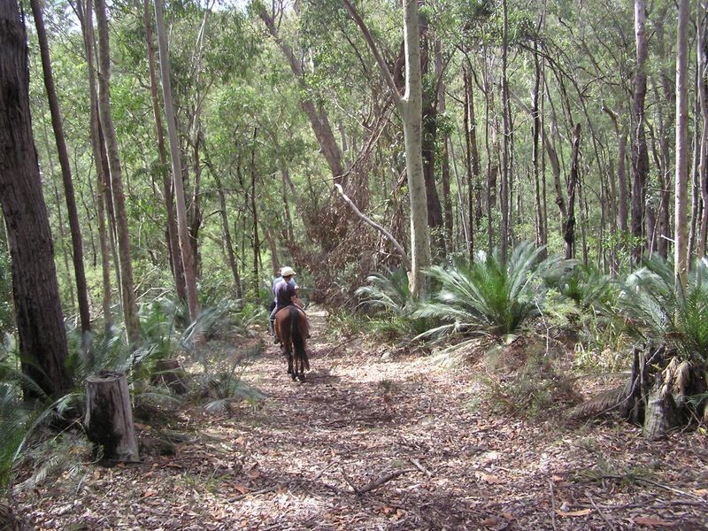 244 Hawdons Road, Moruya NSW 2537