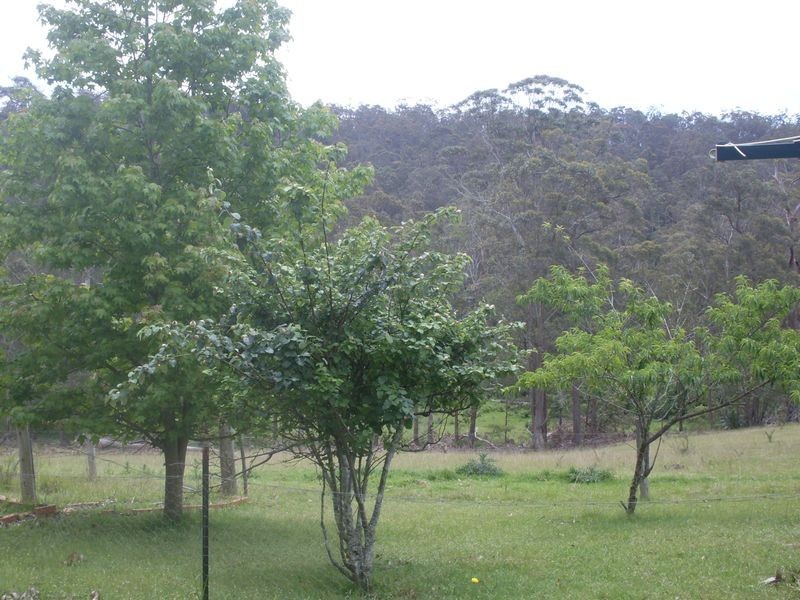 244 Hawdons Road, Moruya NSW 2537