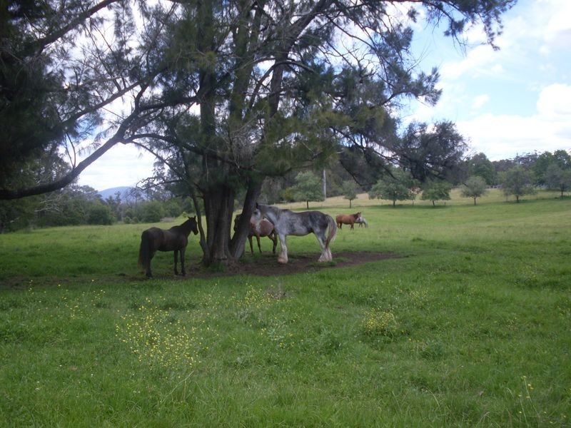 189 Hawdons Road, Moruya NSW 2537