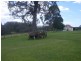 189 Hawdons Road, Moruya NSW 2537