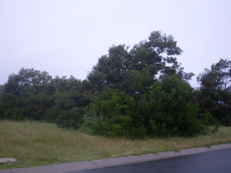 4 Hedley Way, Broulee NSW 2537