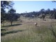 Lot 12 Summerhill Road, Moruya NSW 2537
