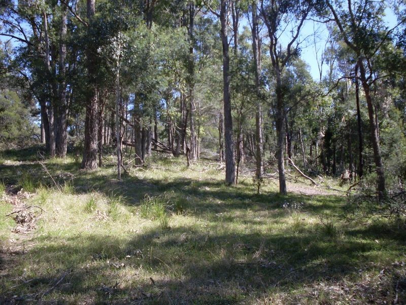 Lot 12 Summerhill Road, Moruya NSW 2537