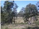 Lot 12 Summerhill Road, Moruya NSW 2537