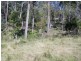 Lot 12 Summerhill Road, Moruya NSW 2537