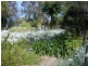 28 Hawdon Street, Moruya NSW 2537