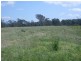 11 MacLean Place, Moruya NSW 2537