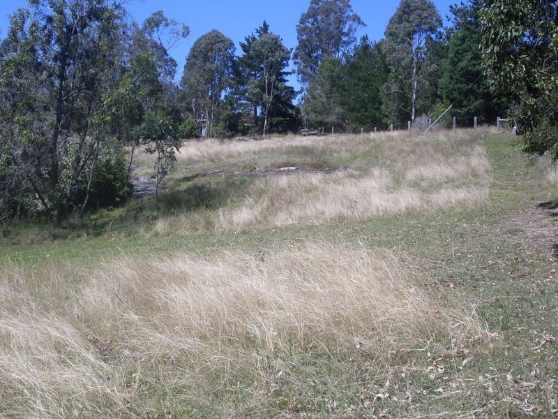 Lot 615 Turnbulls Lane, Moruya NSW 2537