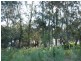 175 Noggarula Drive, Moruya NSW 2537