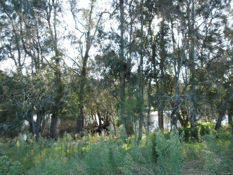 175 Noggarula Drive, Moruya NSW 2537