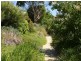 4 Davis Place, Moruya Heads NSW 2537