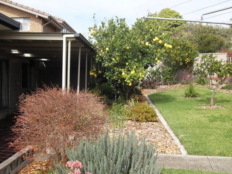 7 Shell Street, Tuross Head NSW 2537