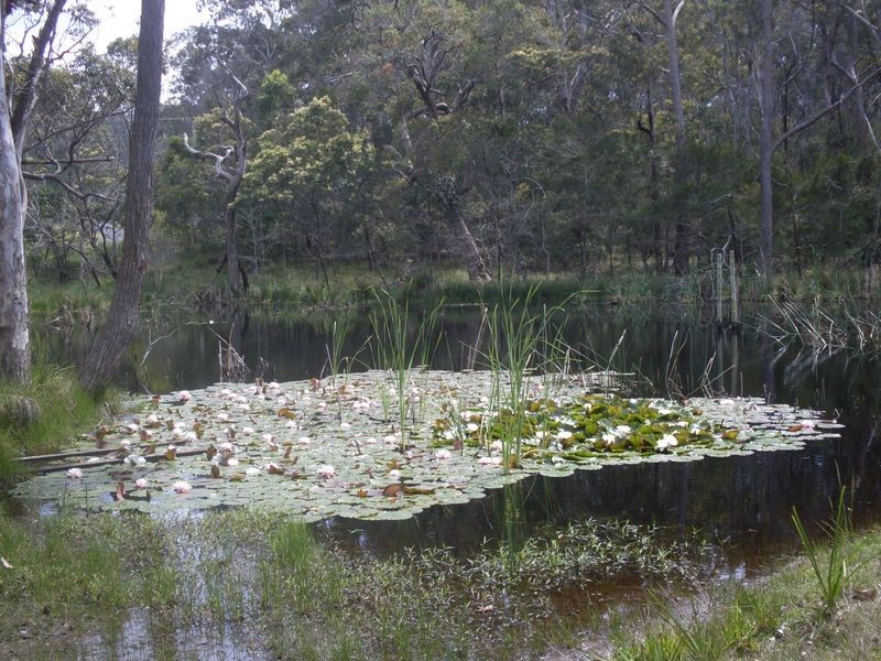 6 Woodlands Way, Bingie NSW 2537