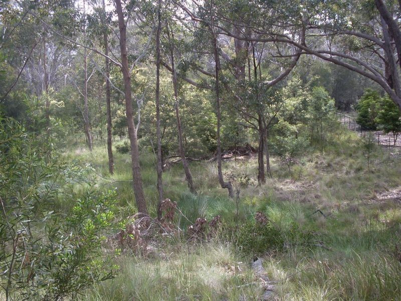 6 Woodlands Way, Bingie NSW 2537