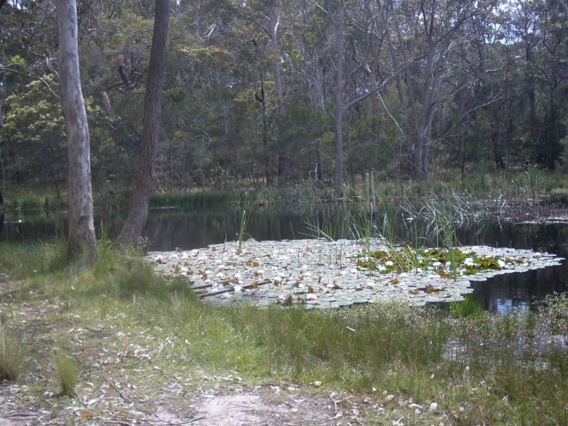 6 Woodlands Way, Bingie NSW 2537