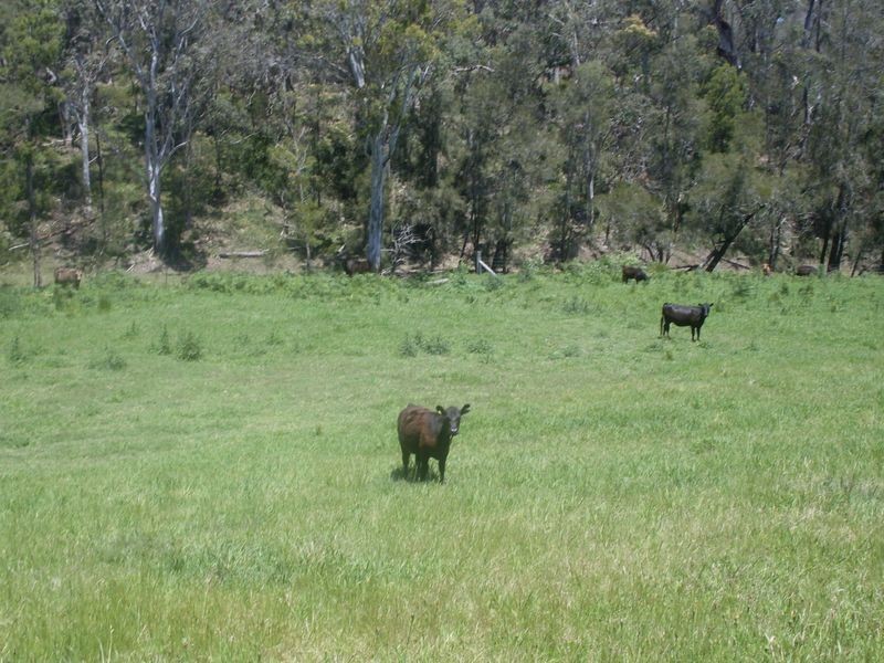 Lots 102 3 Wamban Road, Moruya NSW 2537