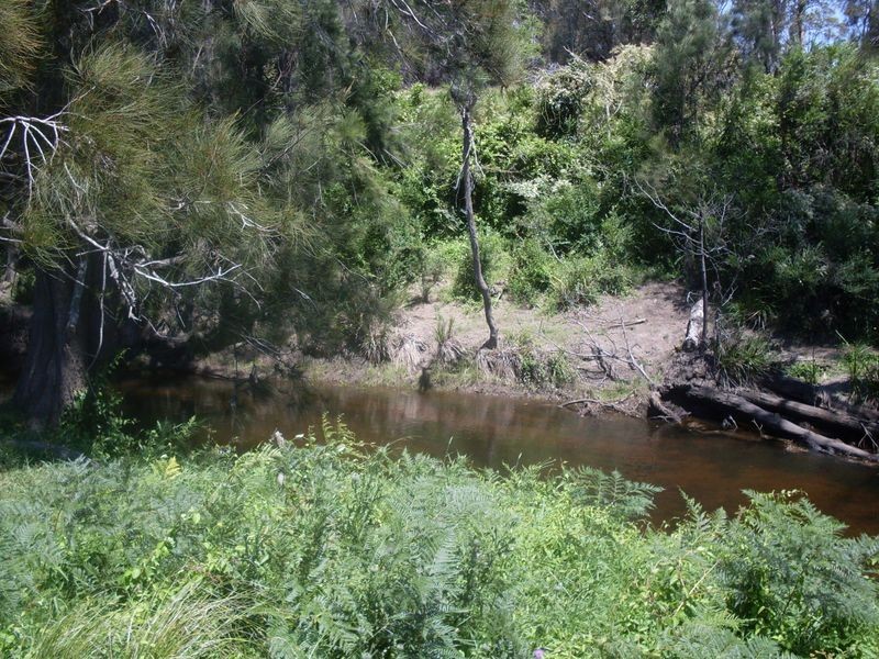 Lots 102 3 Wamban Road, Moruya NSW 2537