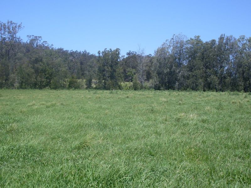 Lots 102 3 Wamban Road, Moruya NSW 2537