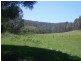 Lots 102 3 Wamban Road, Moruya NSW 2537