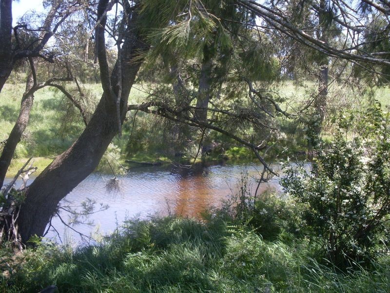 Lots 102 3 Wamban Road, Moruya NSW 2537