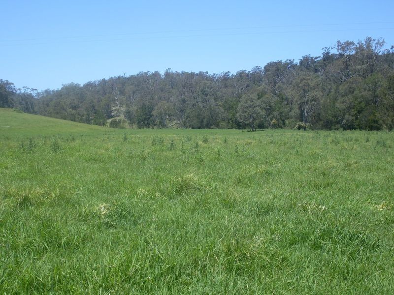 Lots 102 3 Wamban Road, Moruya NSW 2537