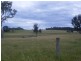 176 Noggarula Drive, Bergalia NSW 2537