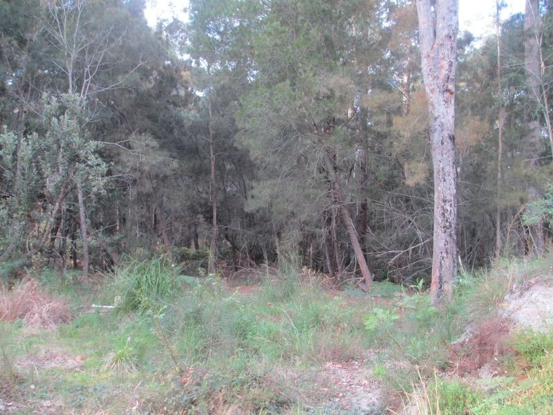 323 Bingi Road, Bingie NSW 2537