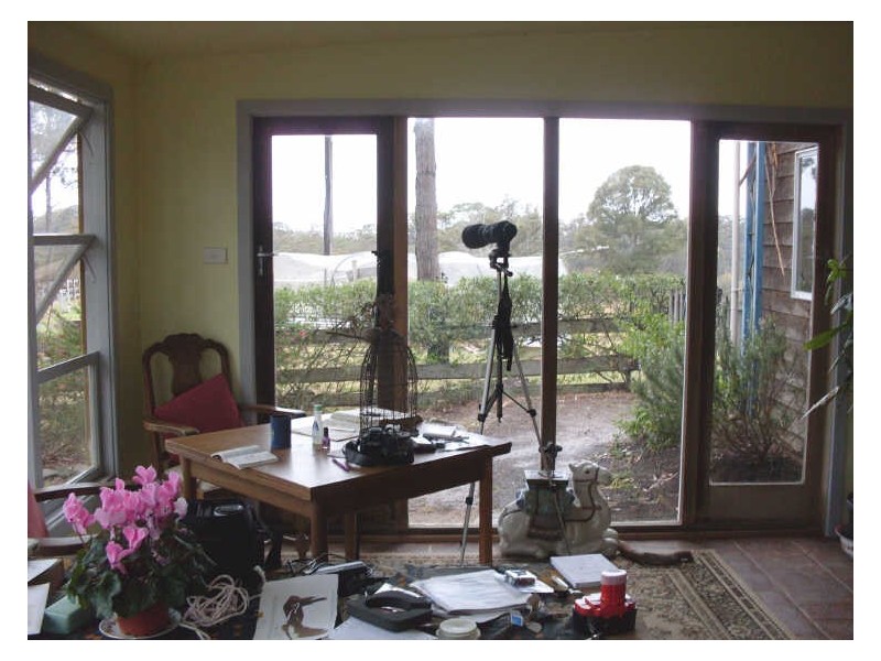 4276 Princes Highway, Turlinjah NSW 2537